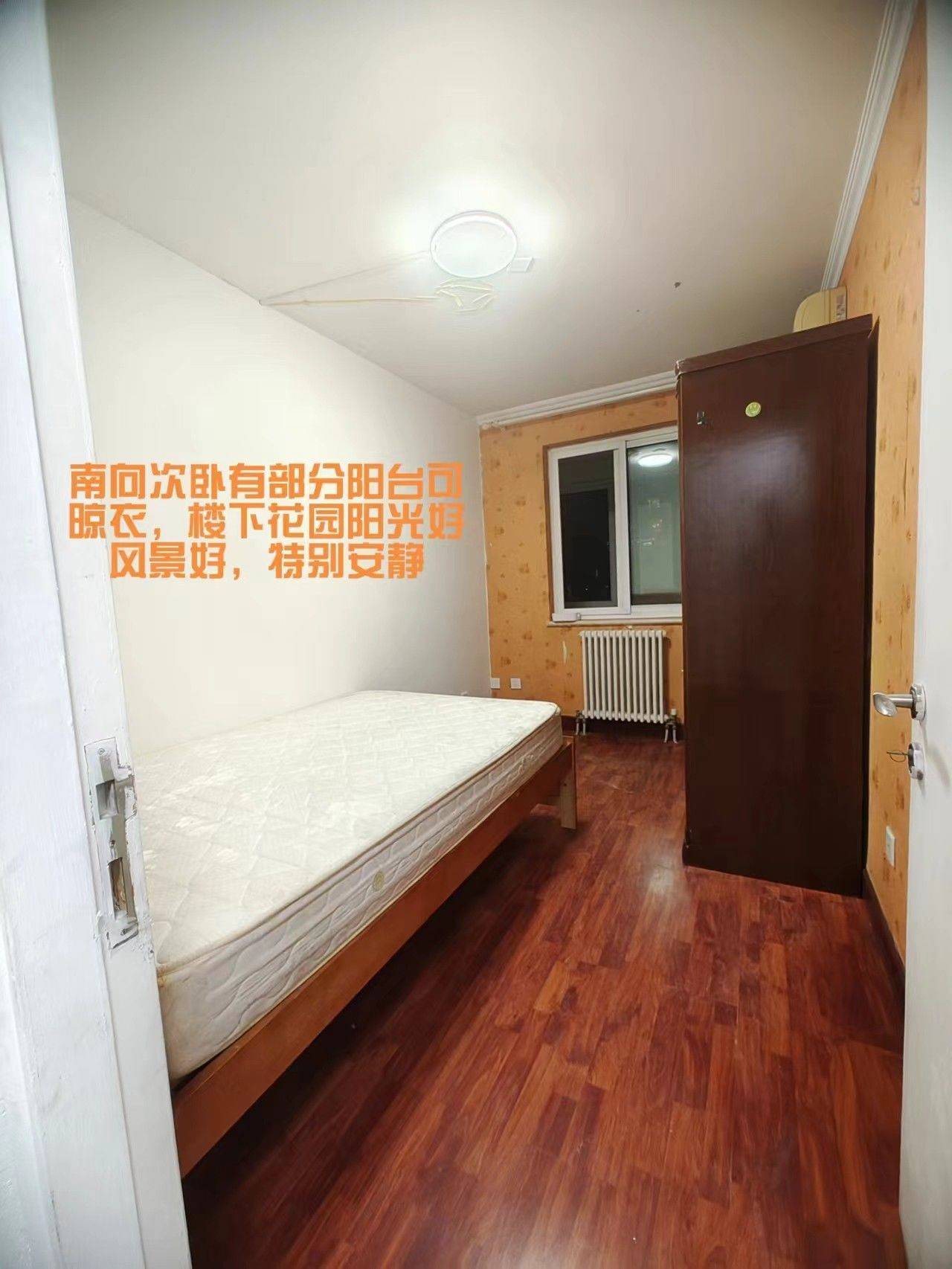 life_photo_4