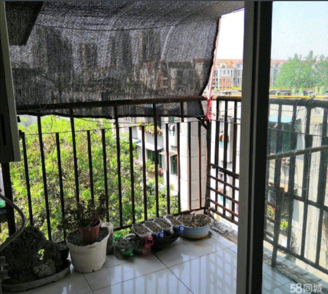 Chengdu-JinJiang-Cozy Home,Clean&Comfy,No Gender Limit,Hustle & Bustle,“Friends”,Chilled