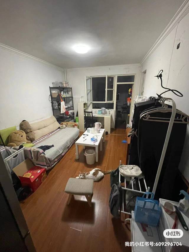Beijing-Chaoyang-Cozy Home,Hustle & Bustle,Chilled