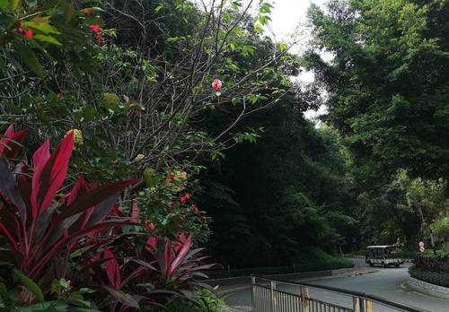 Conghua 广州从化温泉富力泉公寓