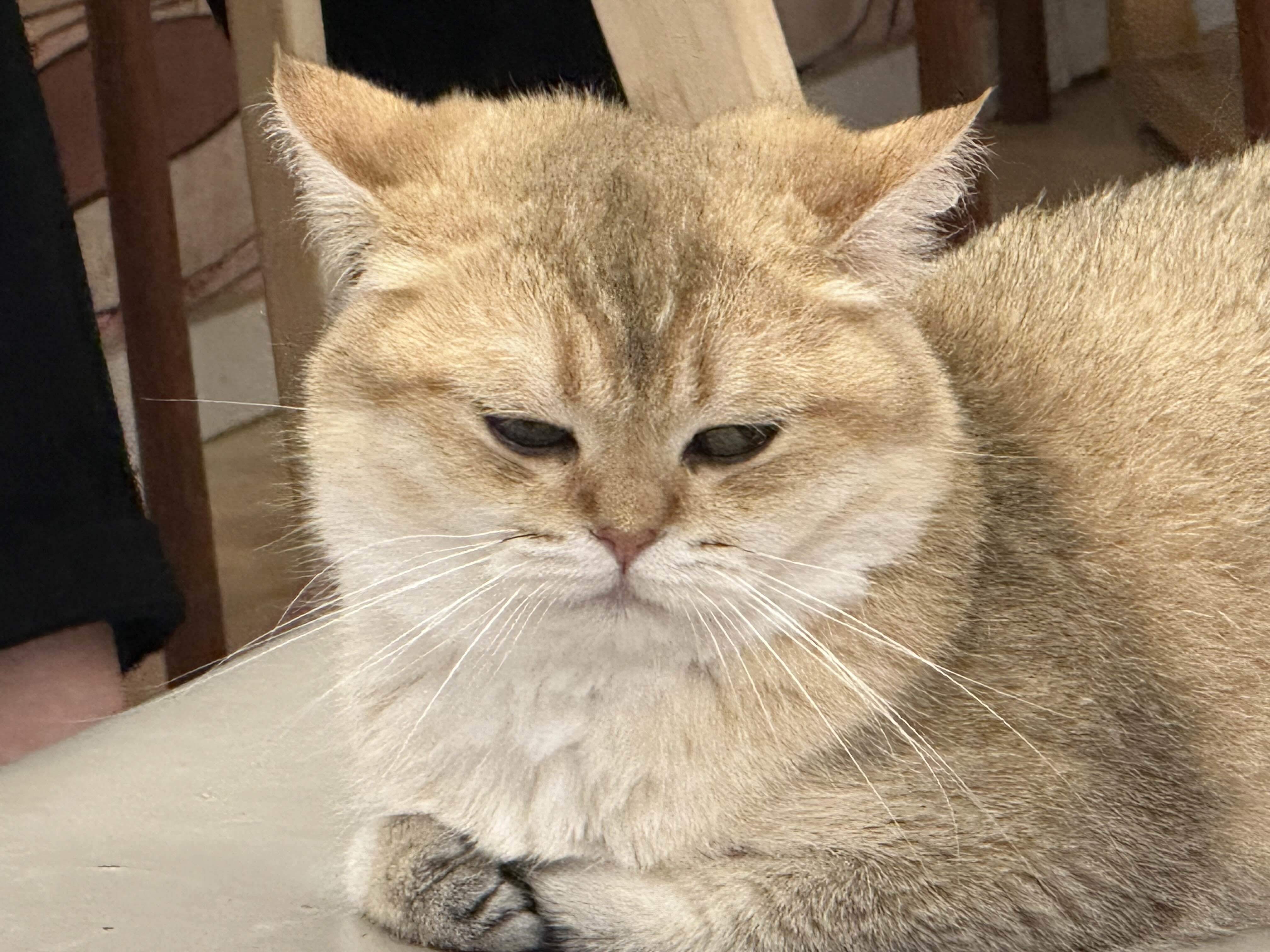 卡进来看看世界