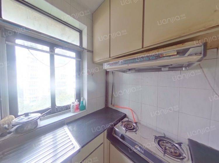 Shanghai-Xuhui-Cozy Home,No Gender Limit,Hustle & Bustle,“Friends”,Chilled,Pet Friendly