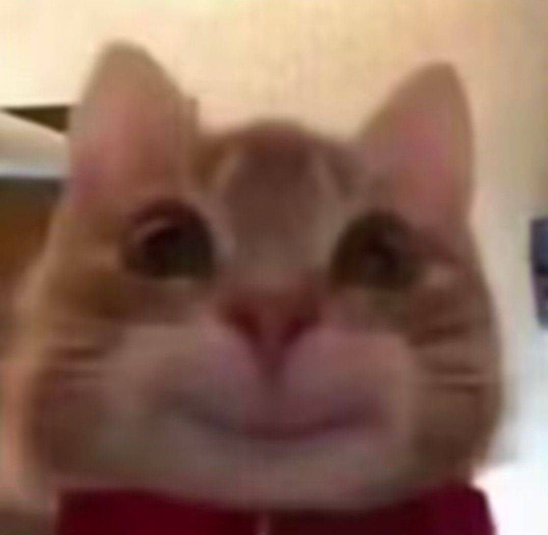 XL