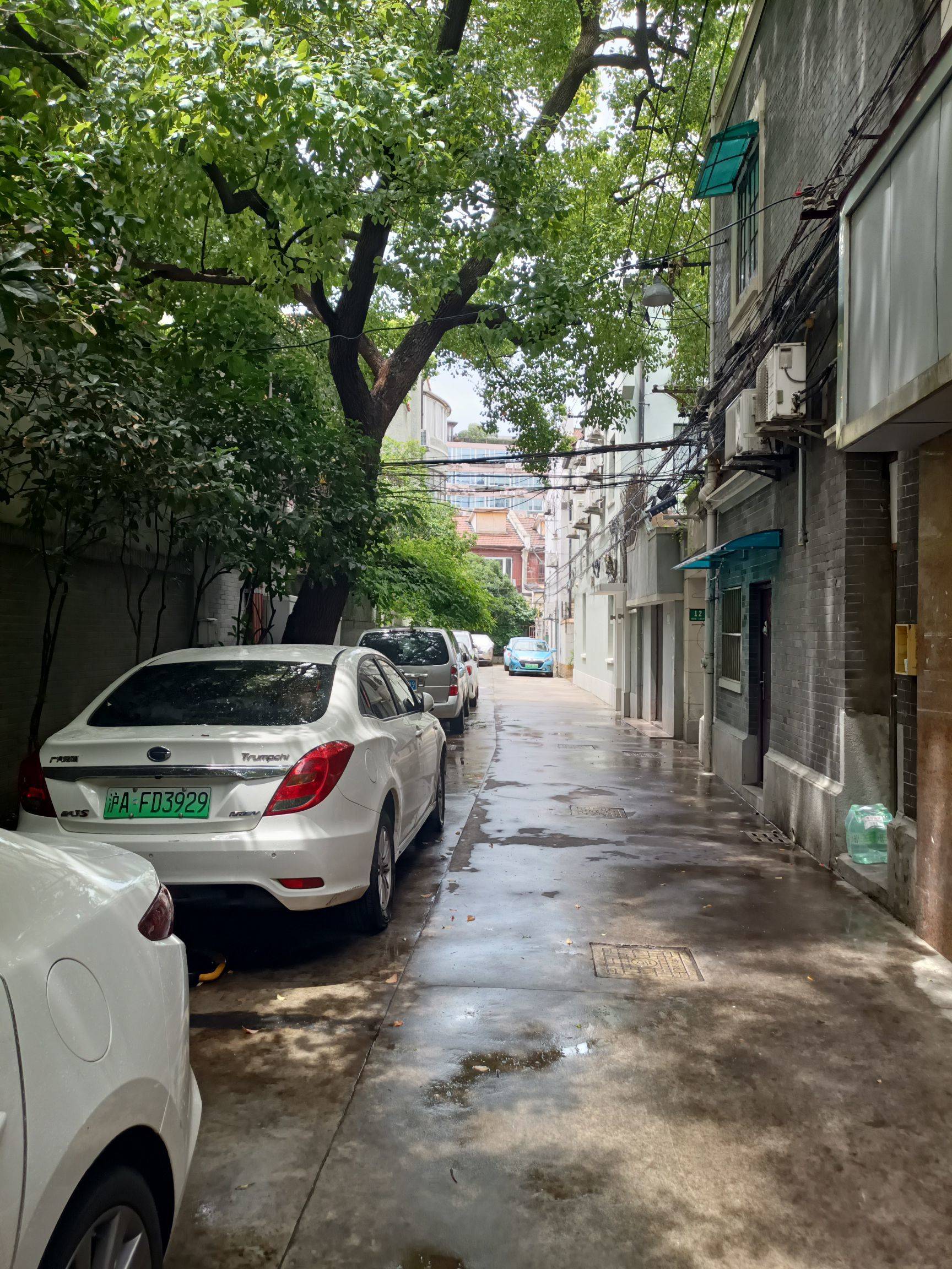 Shanghai-Jing‘An-Cozy Home,Clean&Comfy,No Gender Limit,Hustle & Bustle,“Friends”,Chilled,LGBTQ Friendly,Pet Friendly