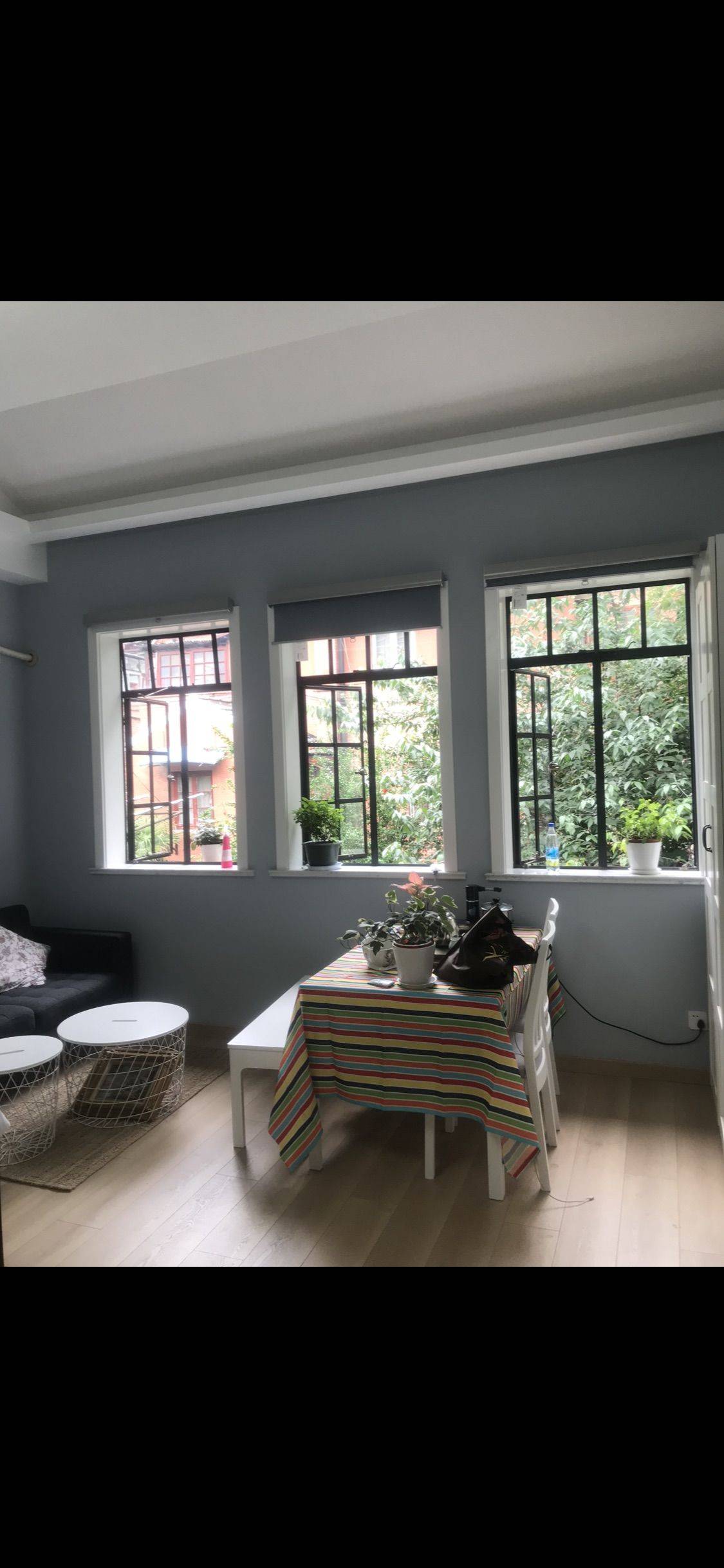Shanghai-Jing‘An-Pet Friendly