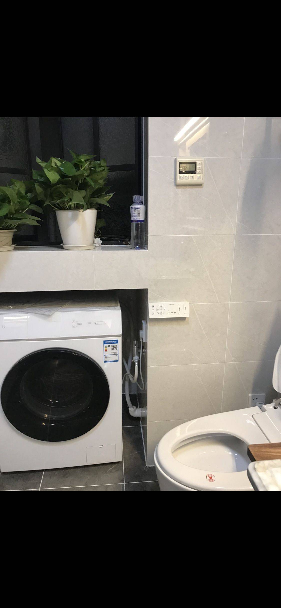 Shanghai-Jing‘An-Pet Friendly