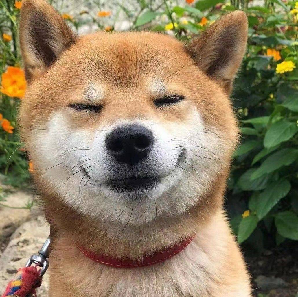 南秋