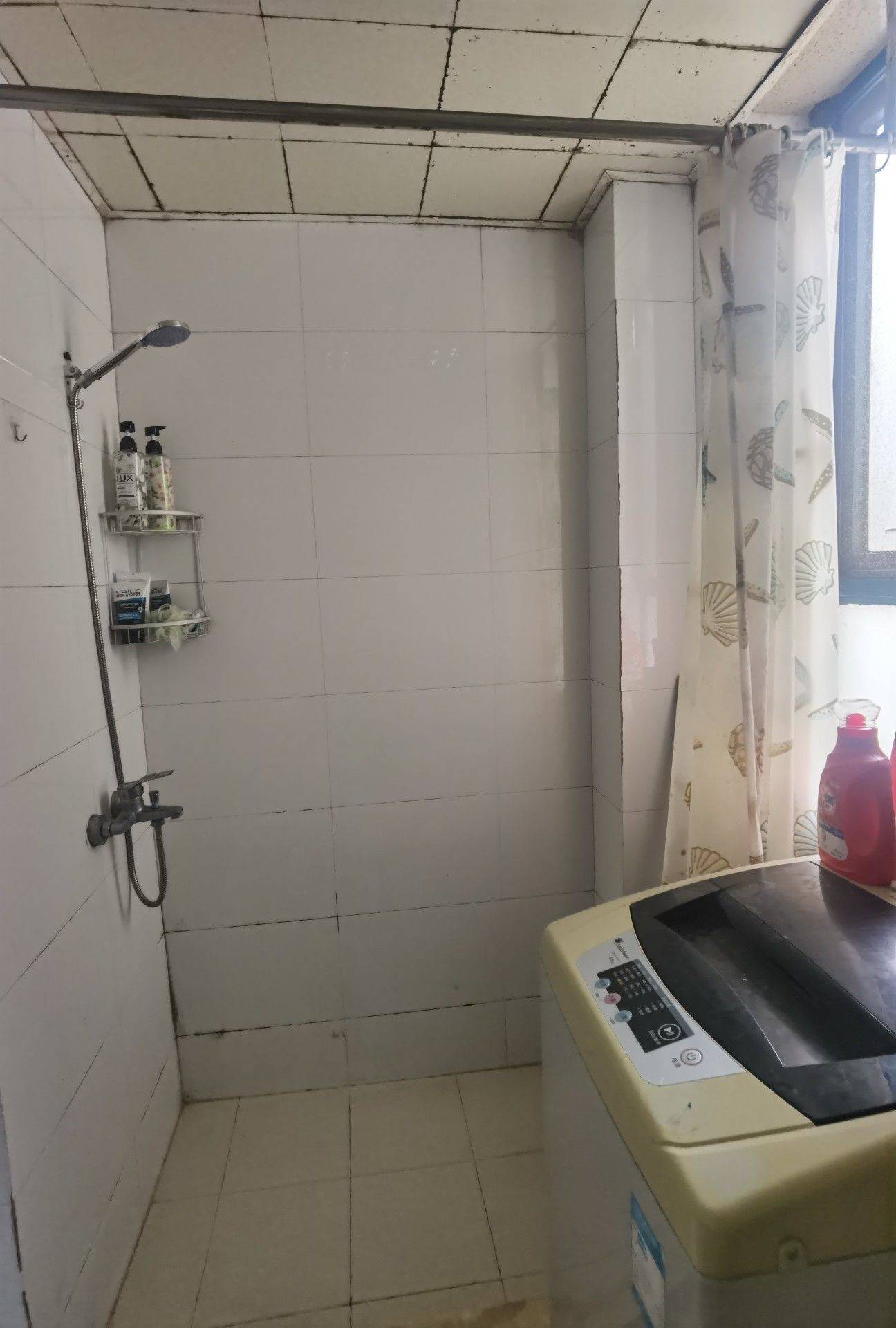 上海-徐汇-温馨小窝,干净治愈,不限性别,市井烟火气,老友记,慢时光,LGBTQ友好,宠物友好