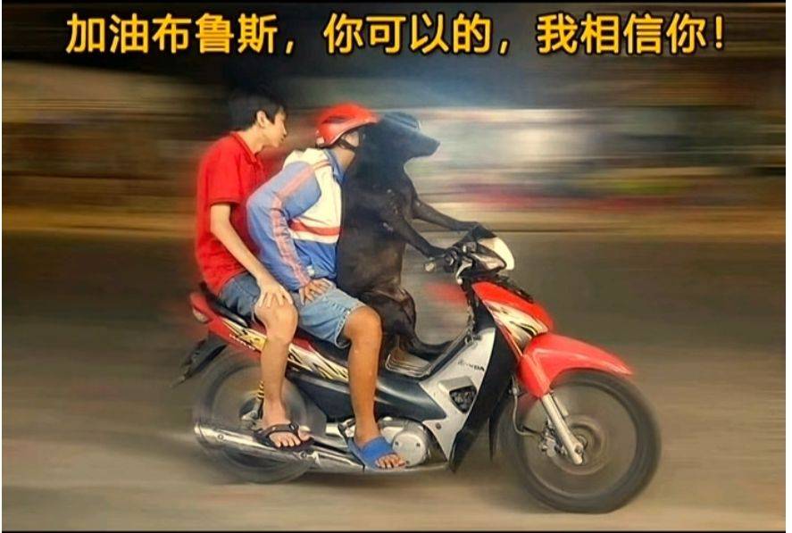 剑客v1