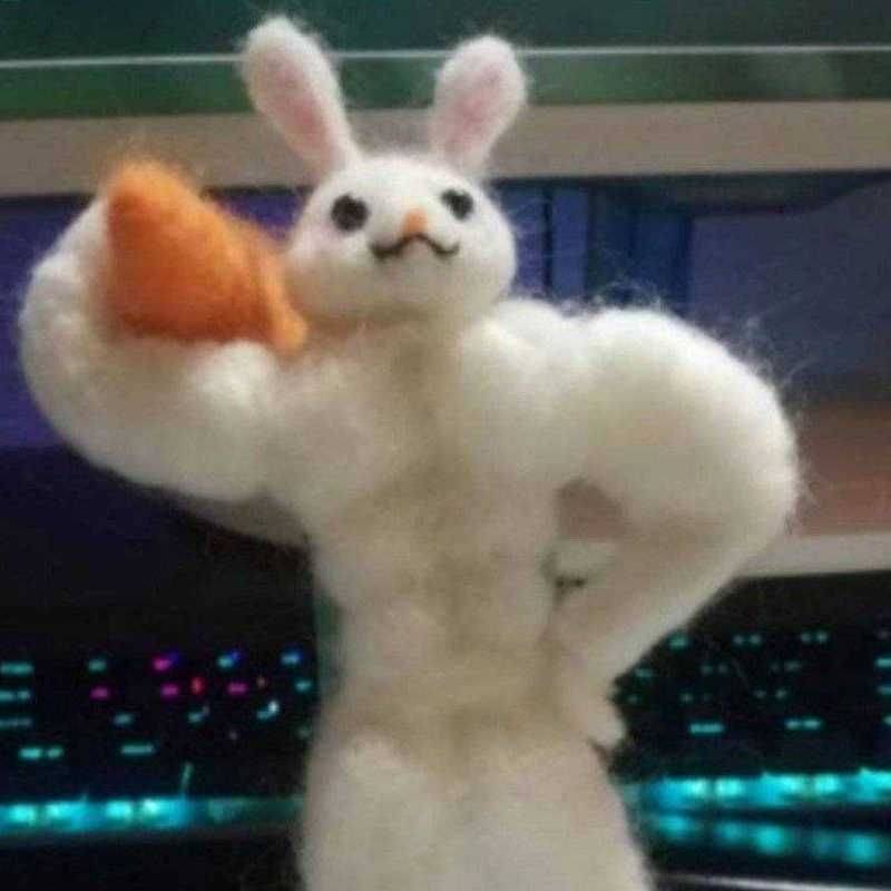 莫妮不卡