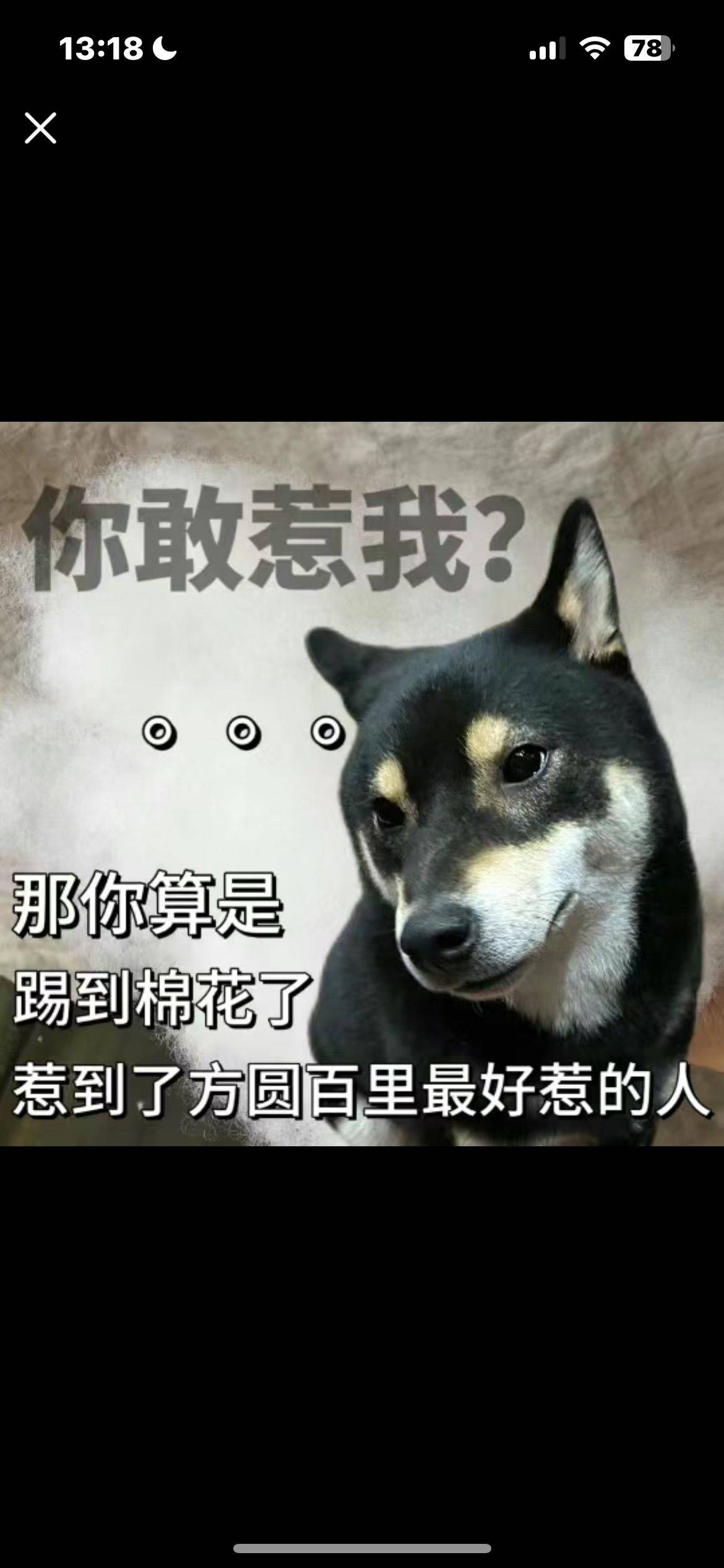 神经蛙