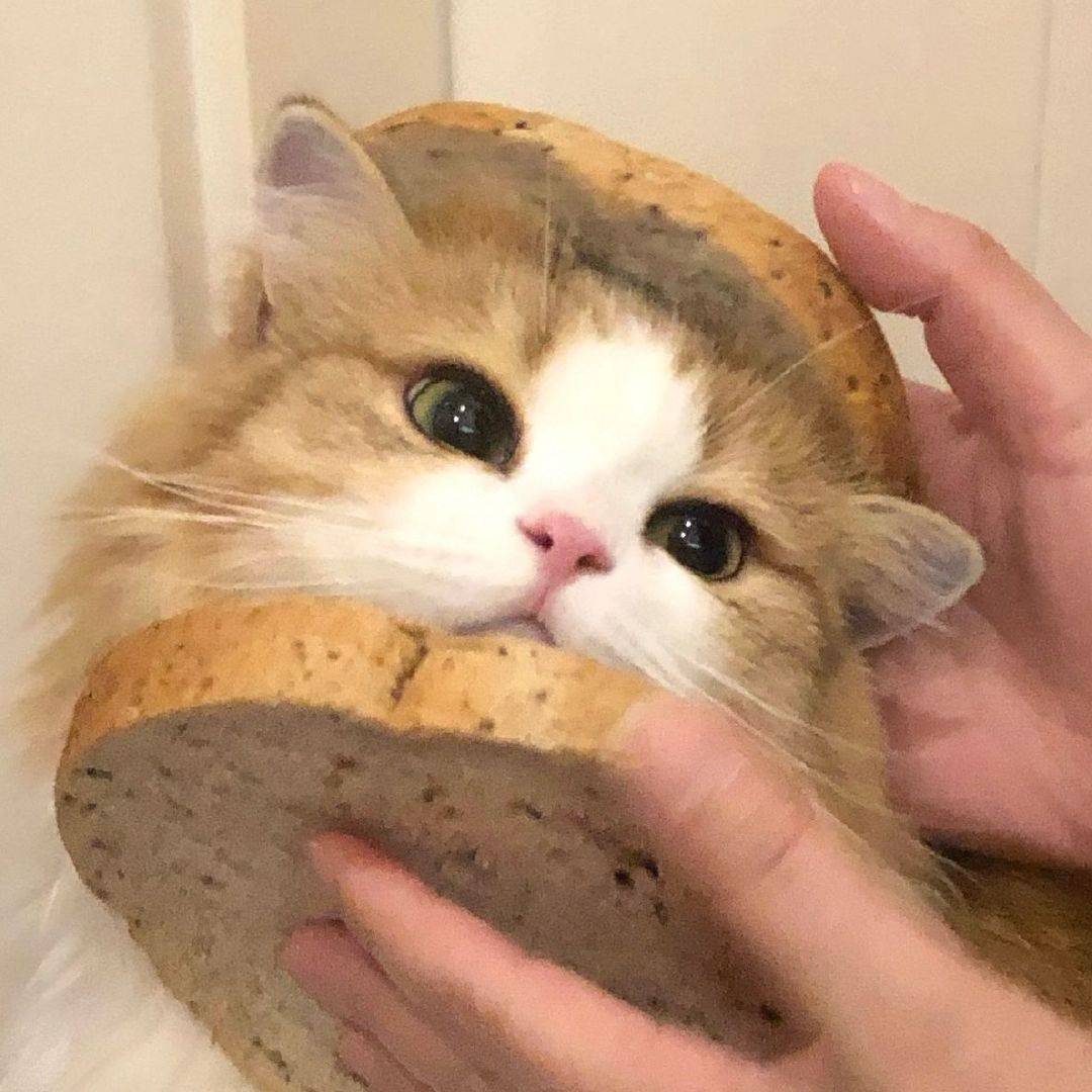 咔咔