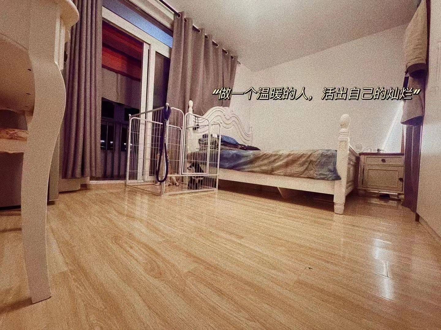 Beijing-Haidian-Sublet,Single Apartment,Short Term,Shared Apartment,Pet Friendly,Replacement,Seeking Flatmate,LGBTQ Friendly,Long & Short Term