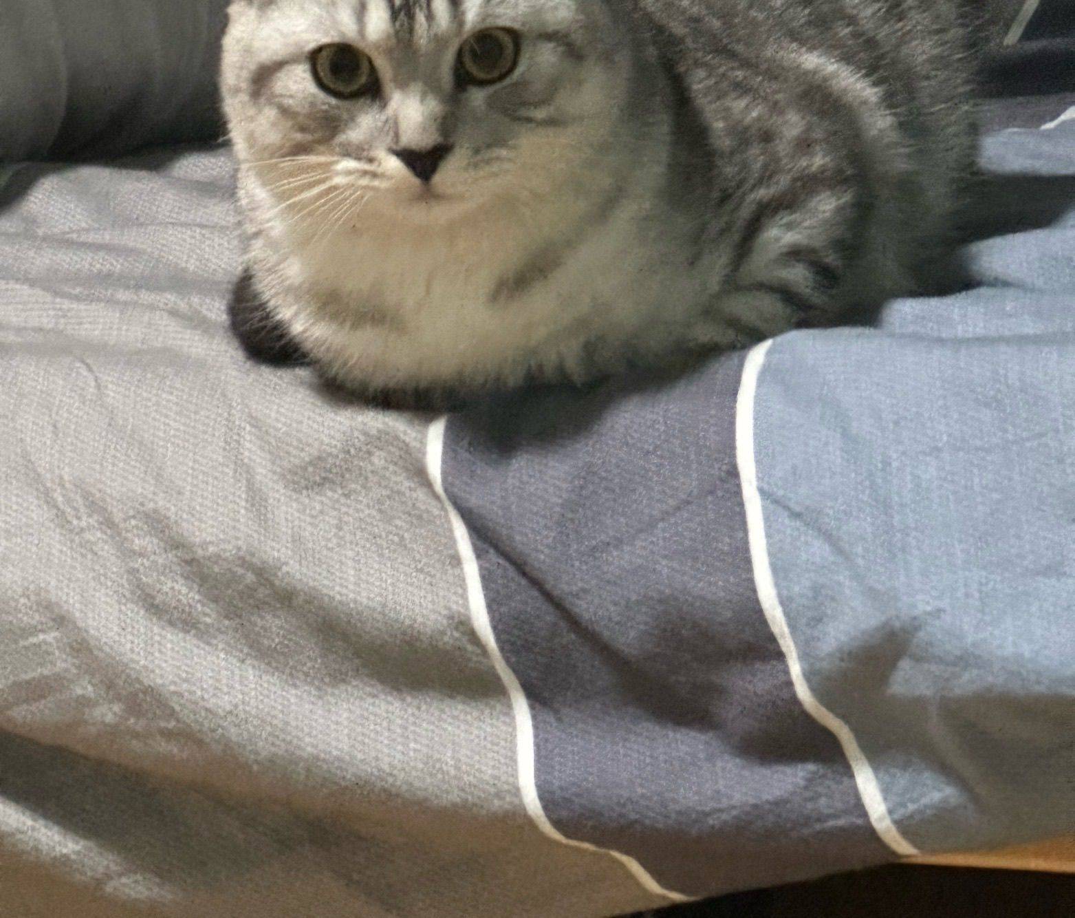 hemingtao