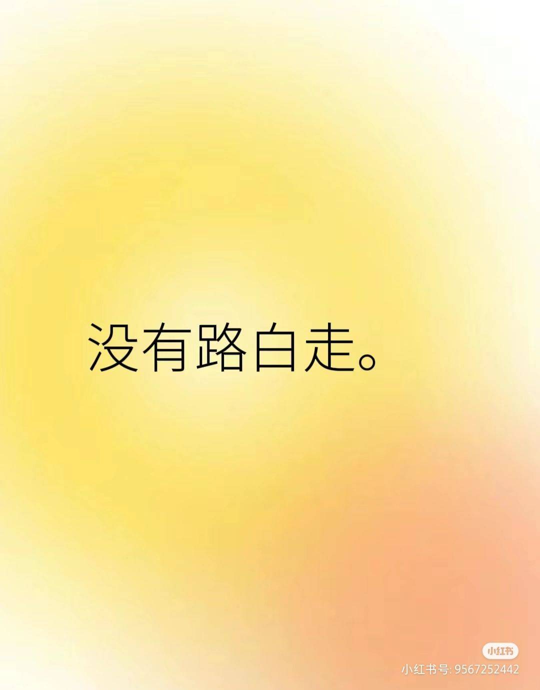 酱酱