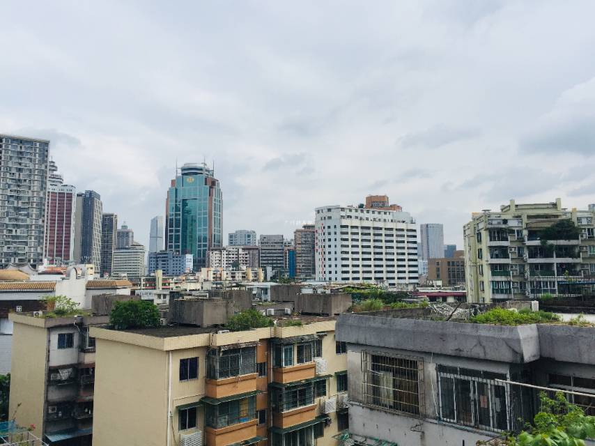 广州-越秀-温馨小窝,干净治愈,不限性别,宠物友好