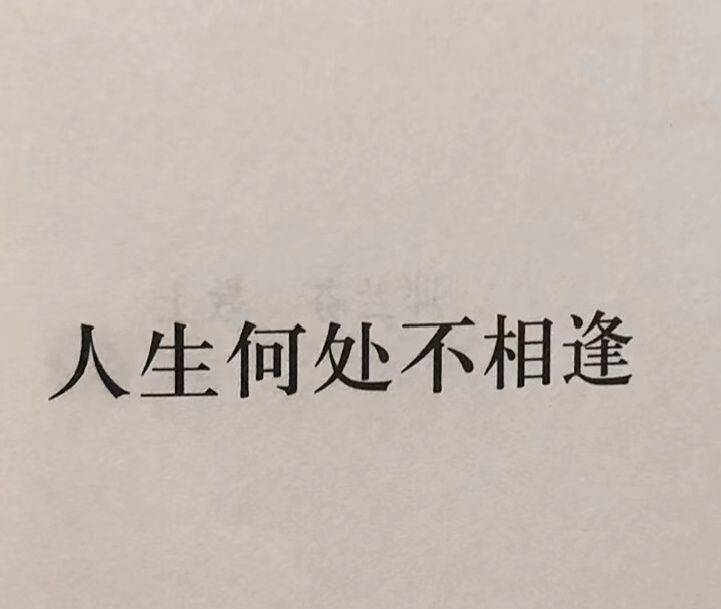 life_photo_0