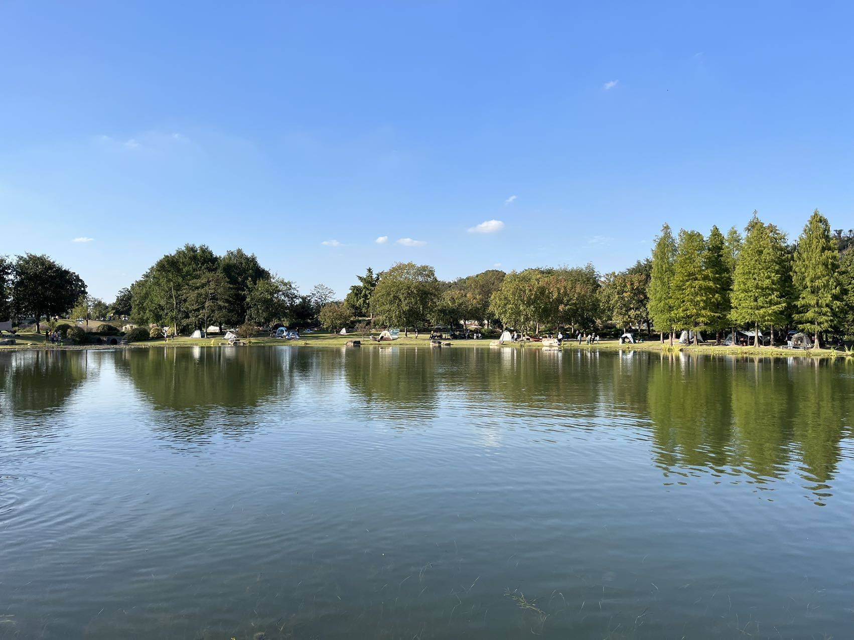 小土豆