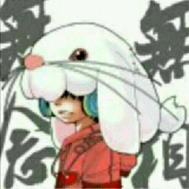 蓝天下的小白鼠
