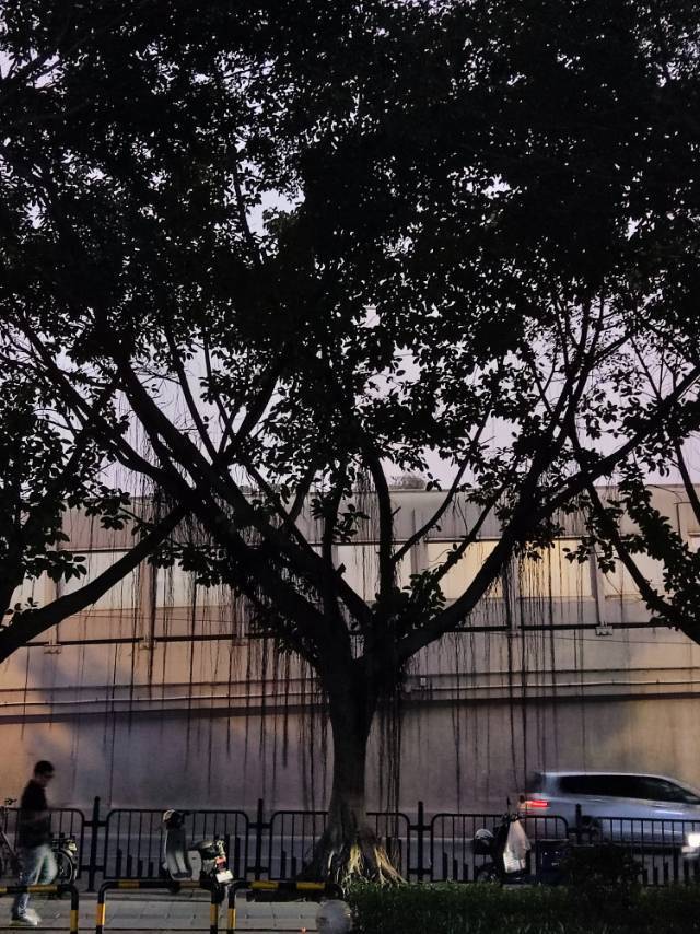 哈哈哈