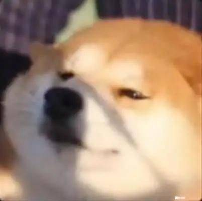 夜神濑