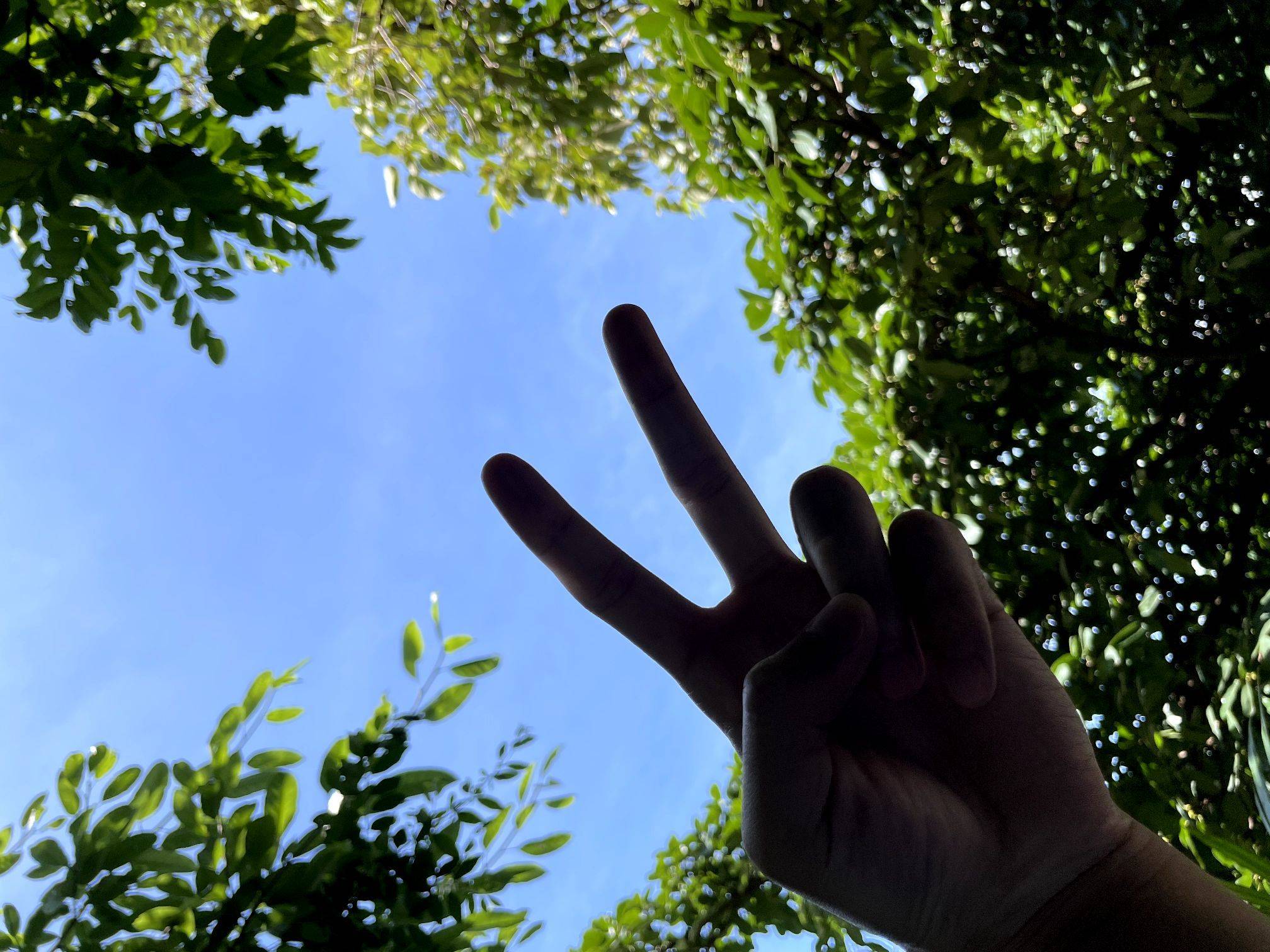 吴鸿泉