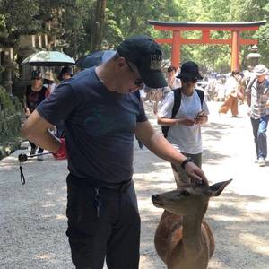 顾玮