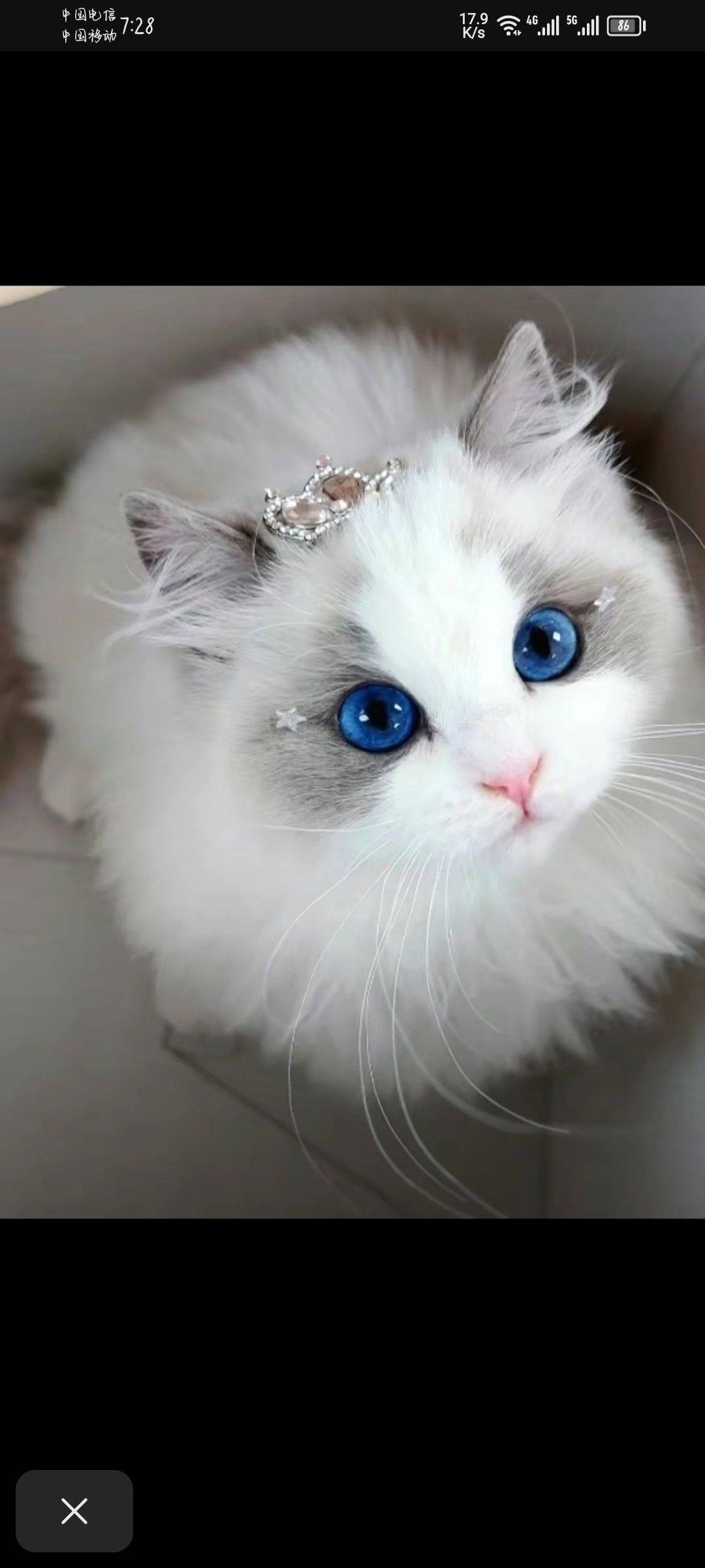 尚