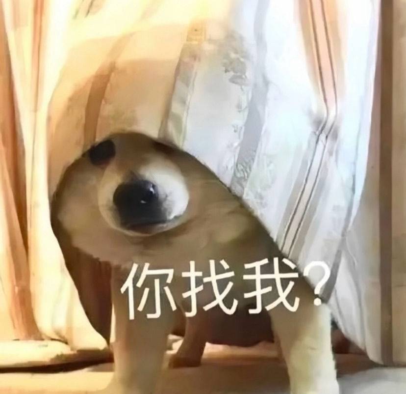 波比