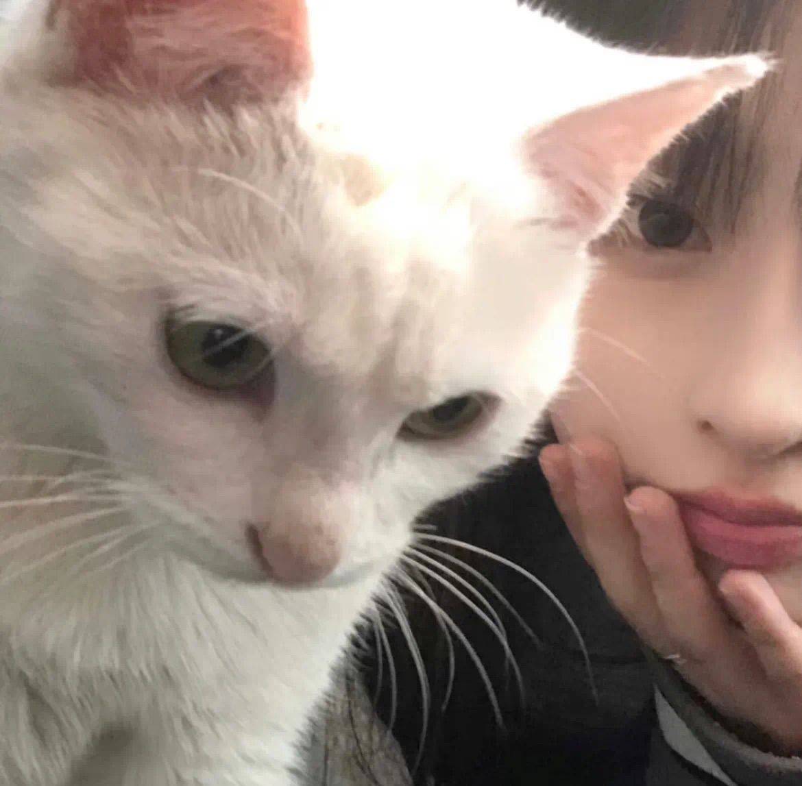 得