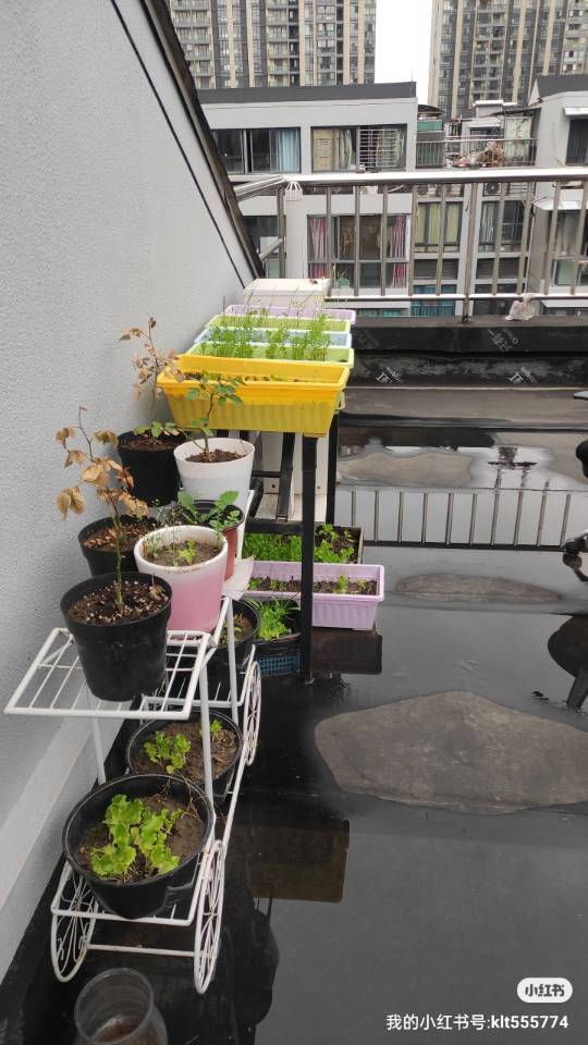 Hangzhou-Binjiang-Cozy Home,Clean&Comfy,Hustle & Bustle,Chilled