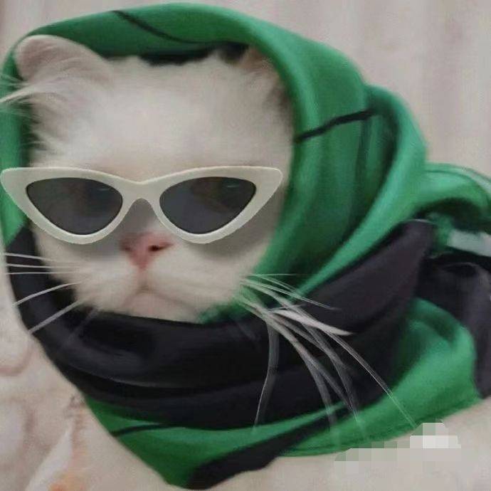 薄荷小姐