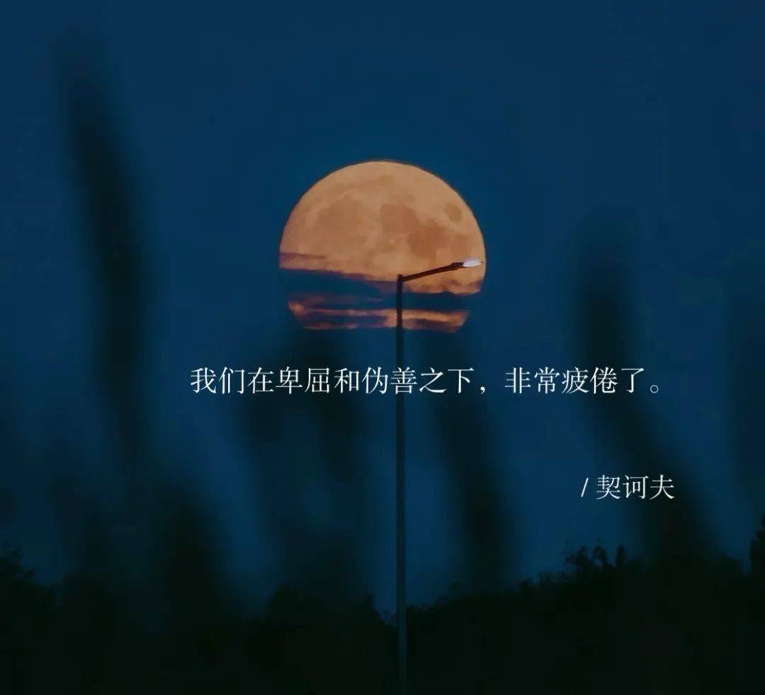 小杨