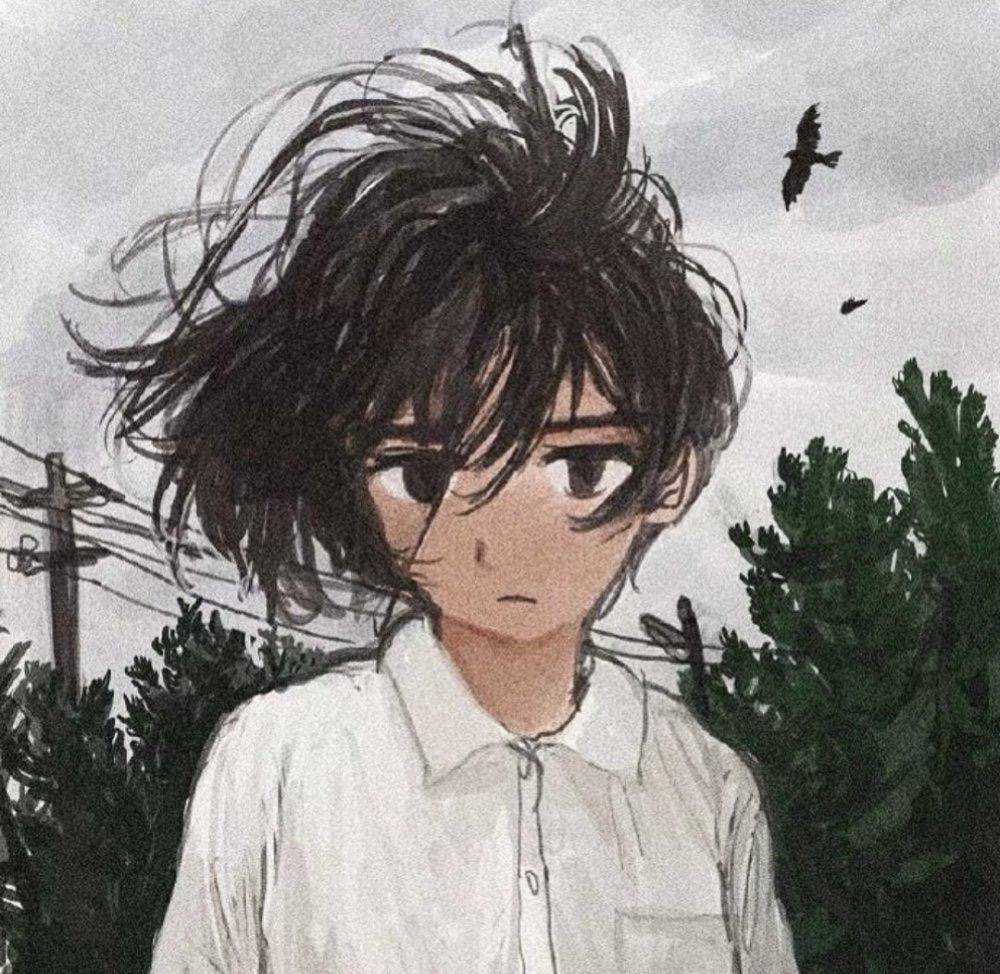 章