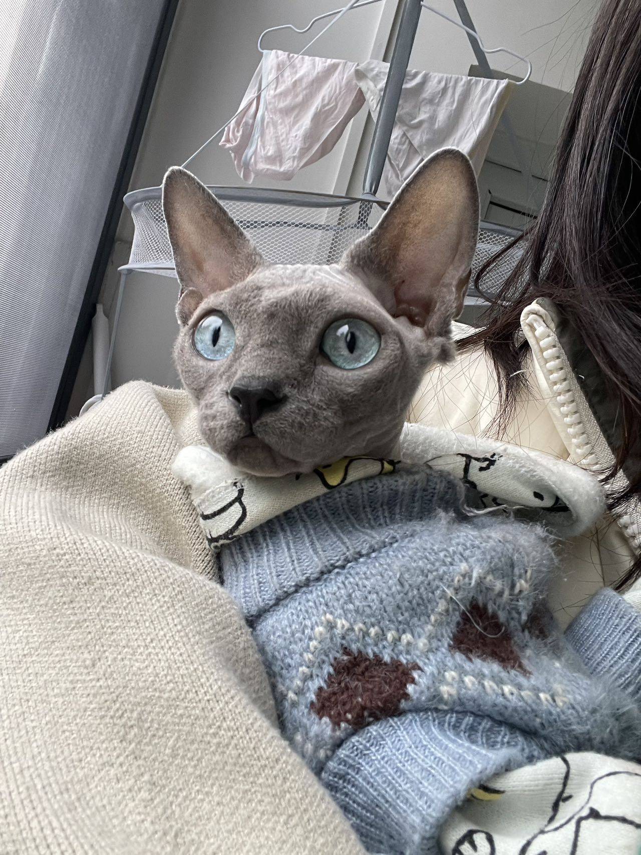 kiki