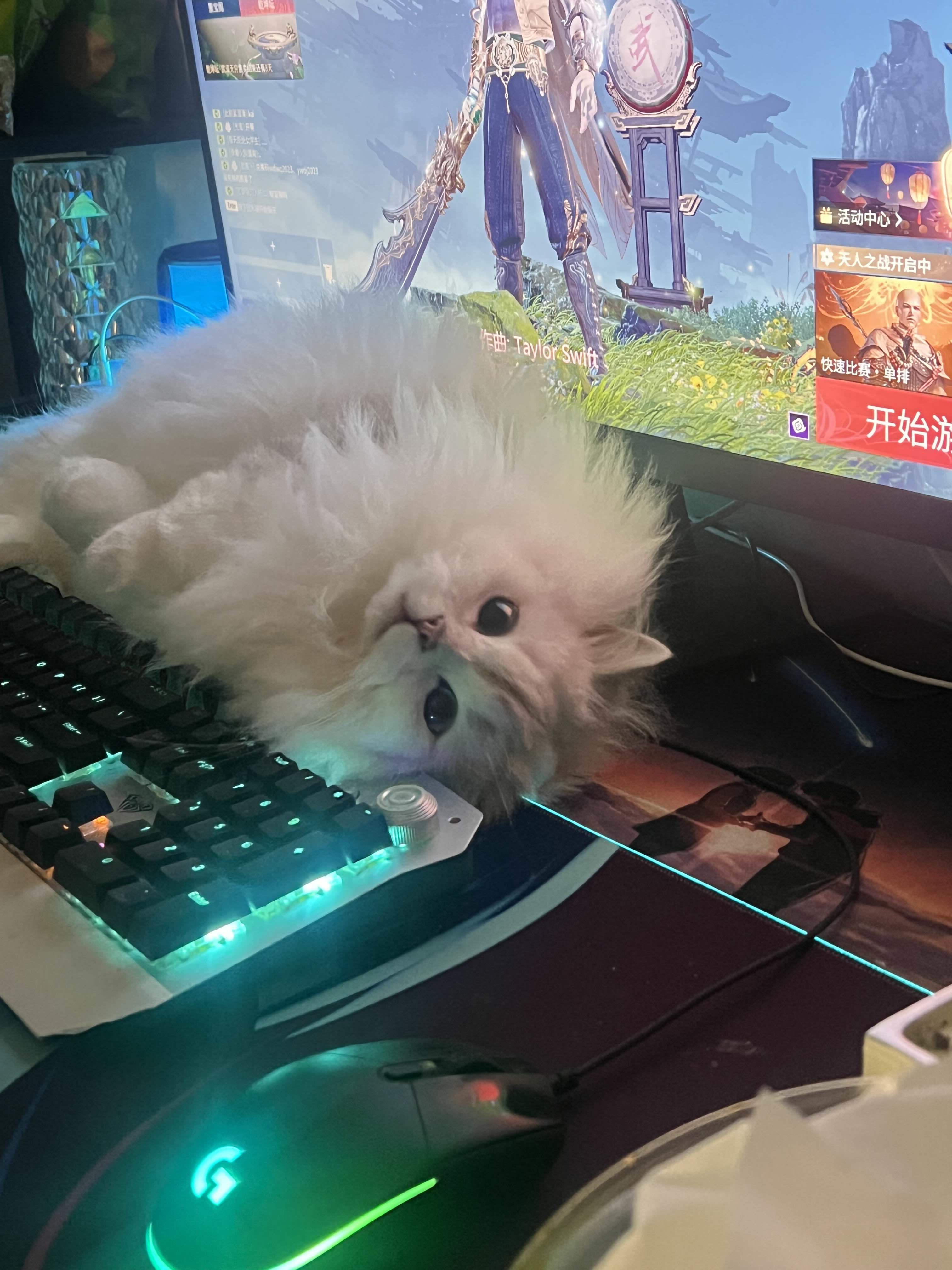 小磊长不胖