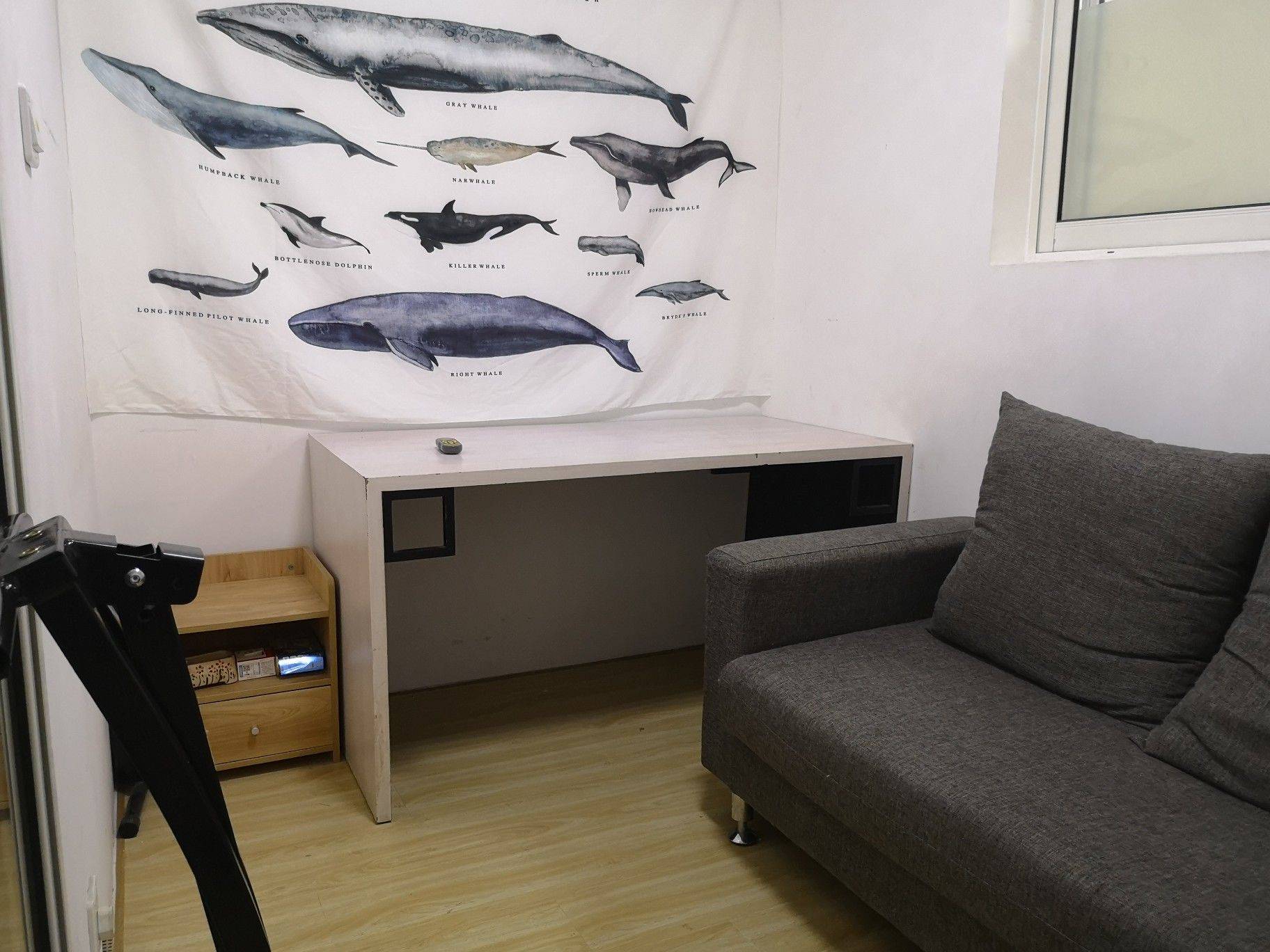 Shanghai-Xuhui-Cozy Home,No Gender Limit,“Friends”,LGBTQ Friendly