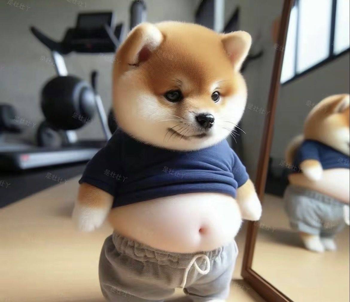 已读不想回