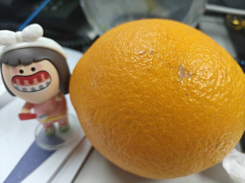 竹子