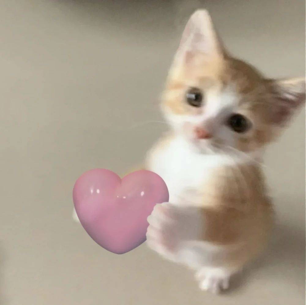 Kitty