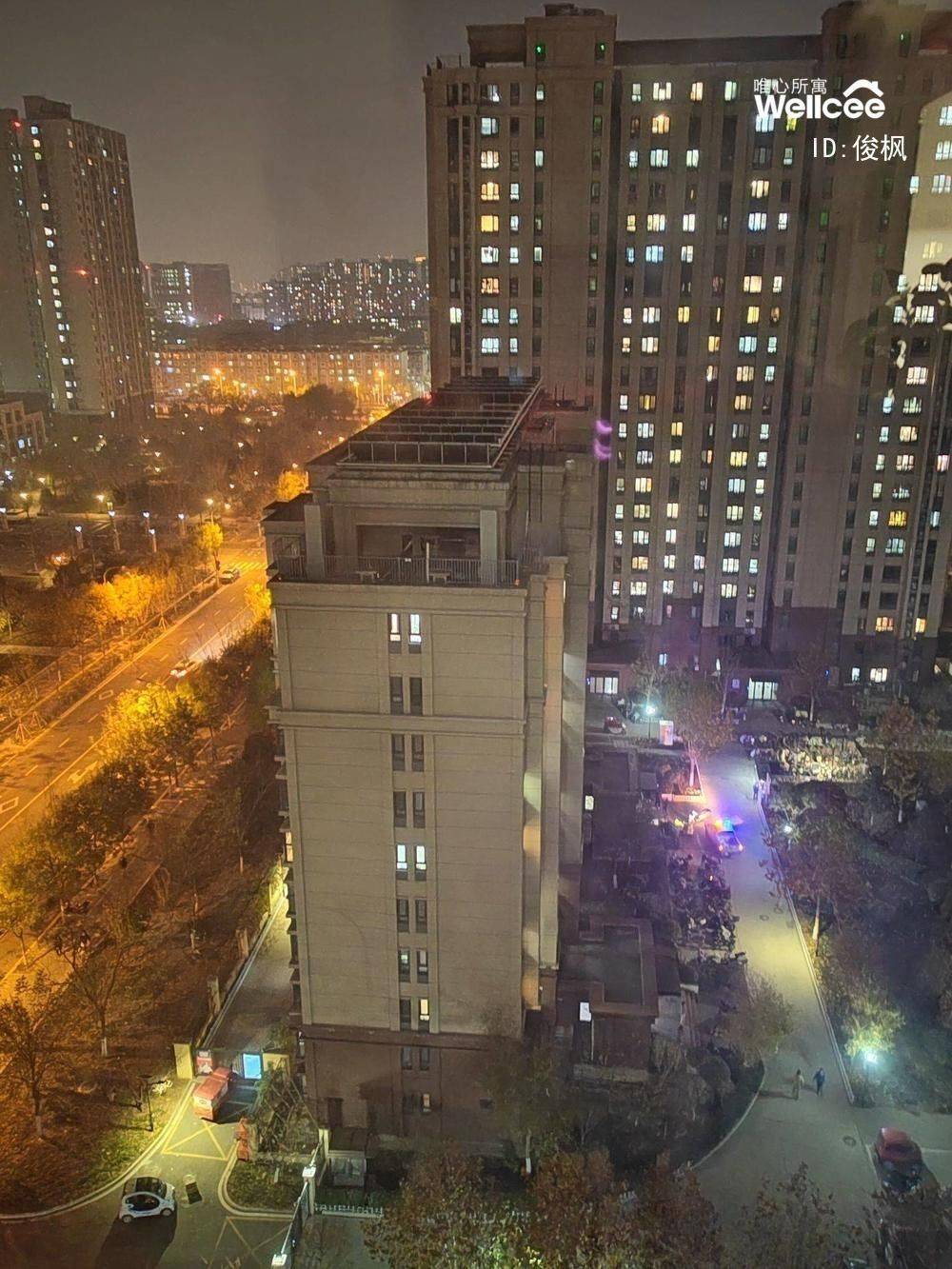 俊枫