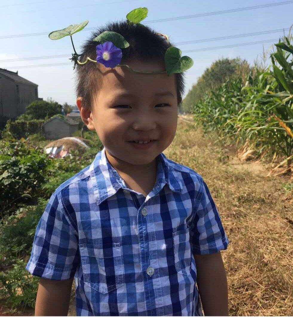 陈陈