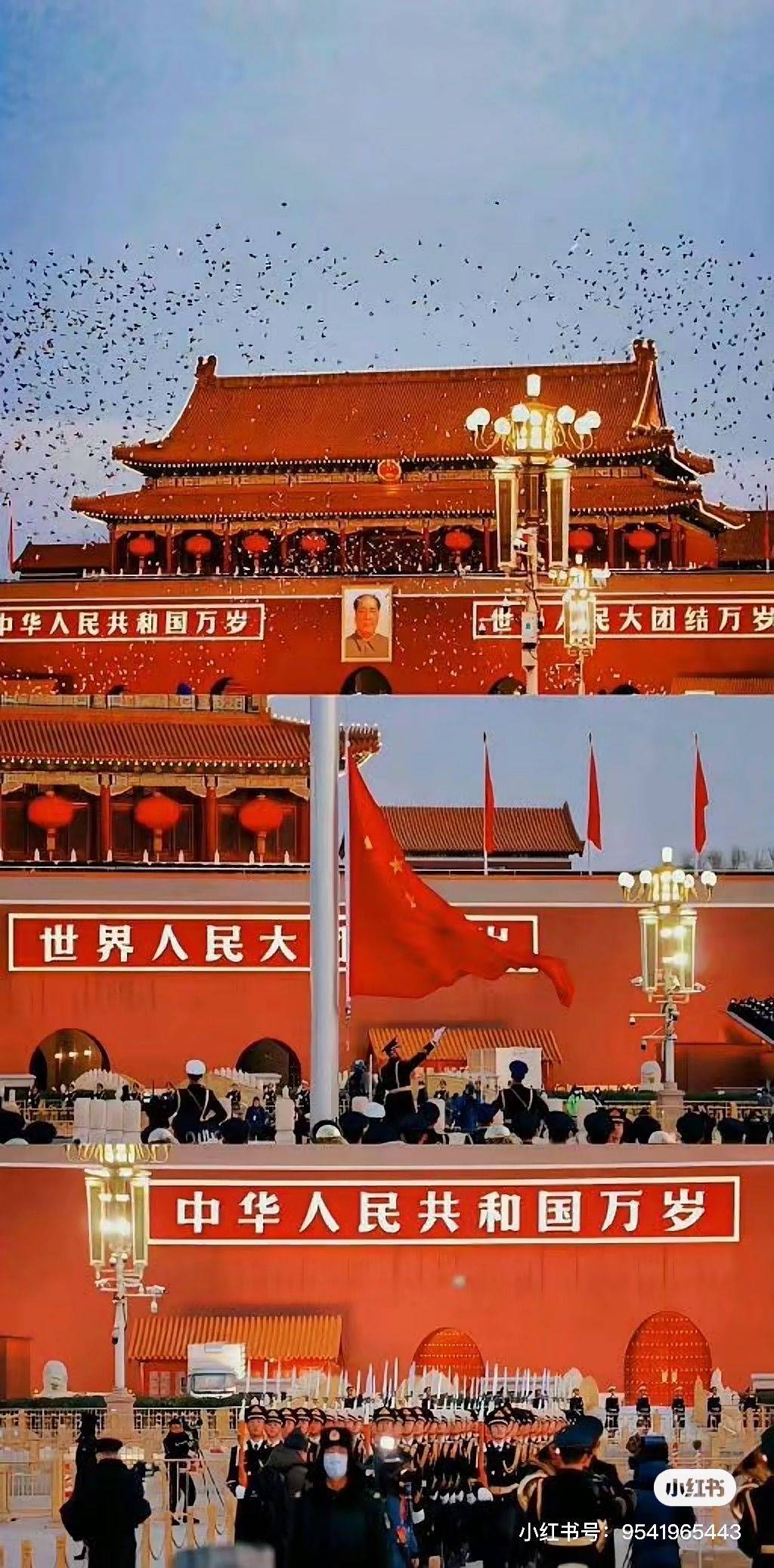 武