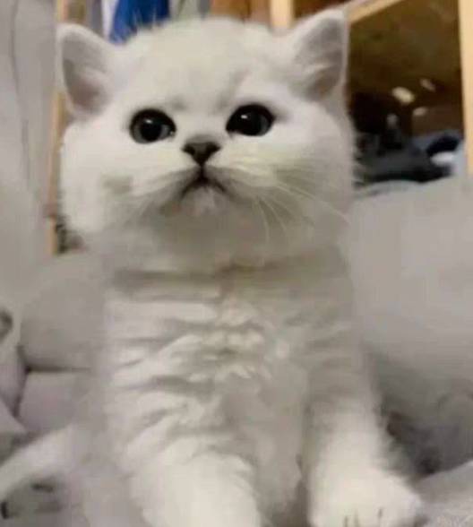 周雯