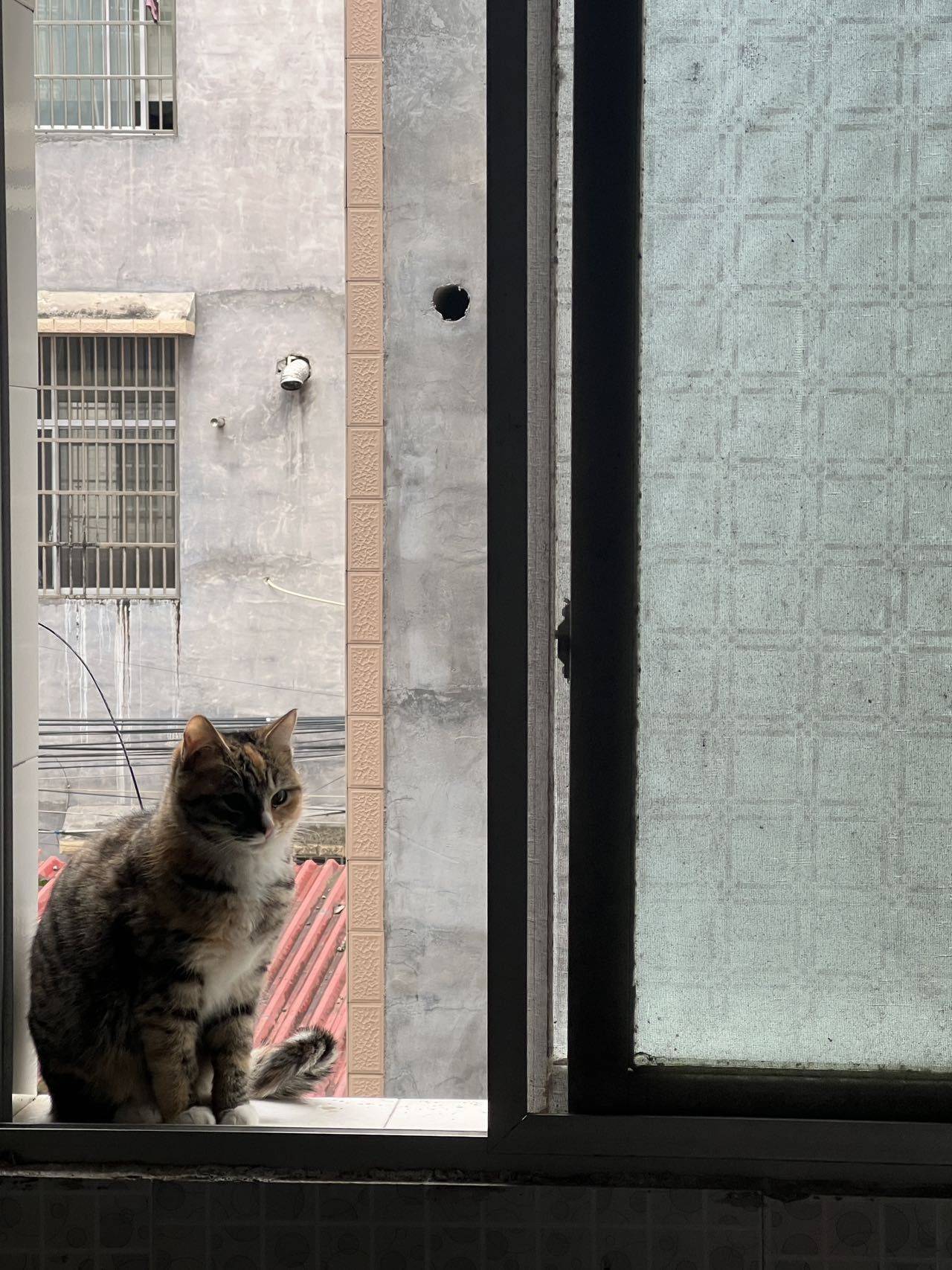 一波王炸