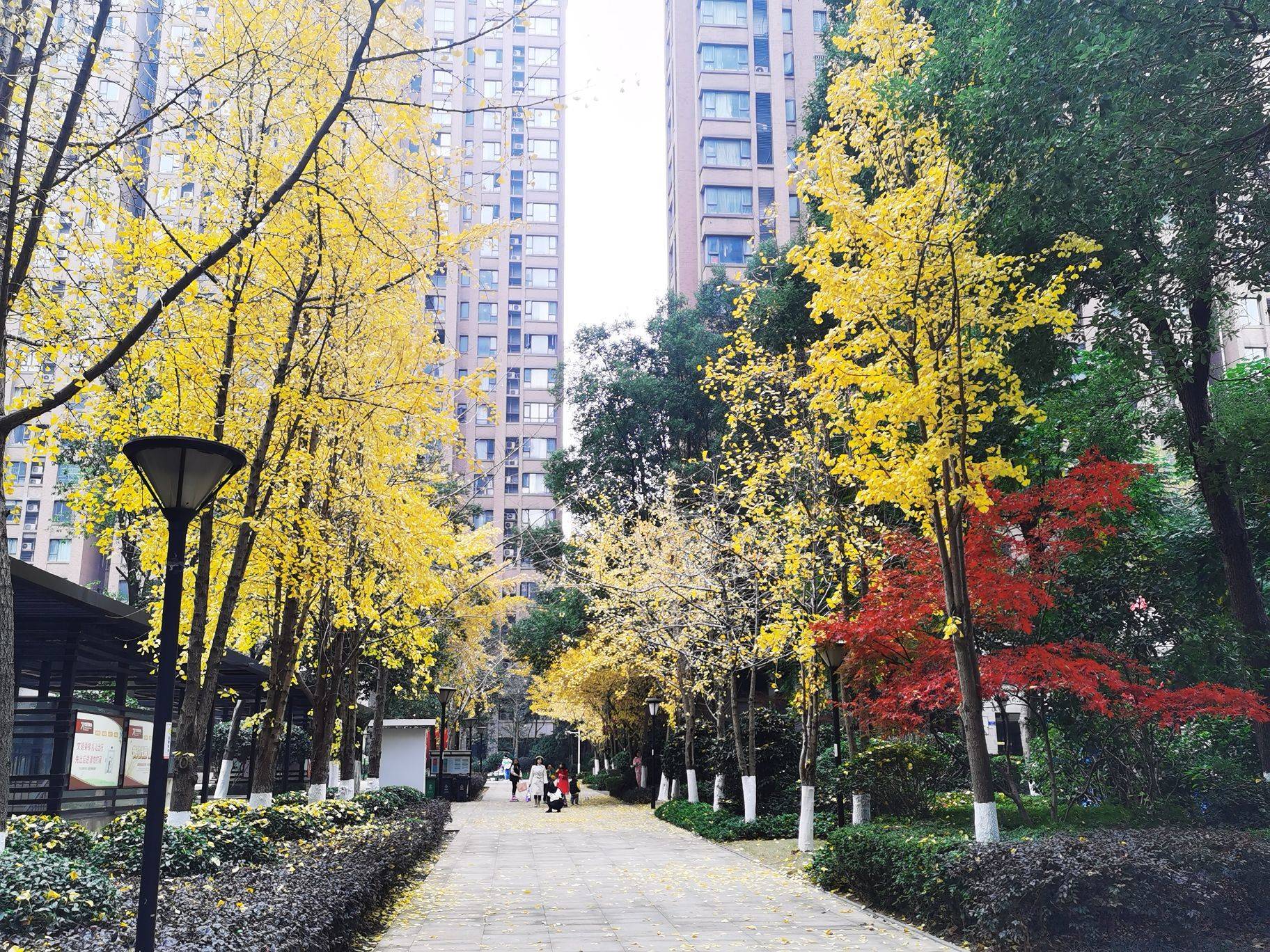 Changsha-Xingsha-Cozy Home