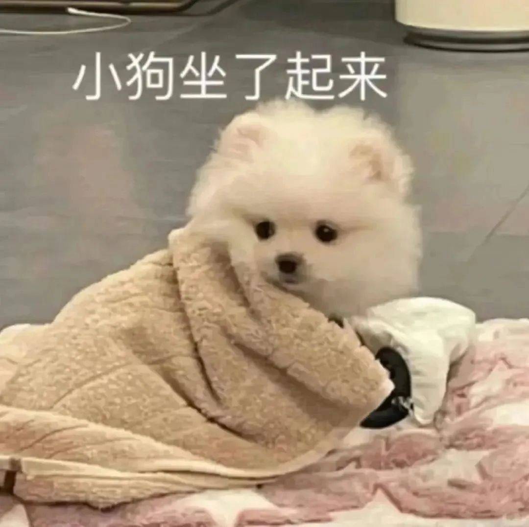 八点半少女