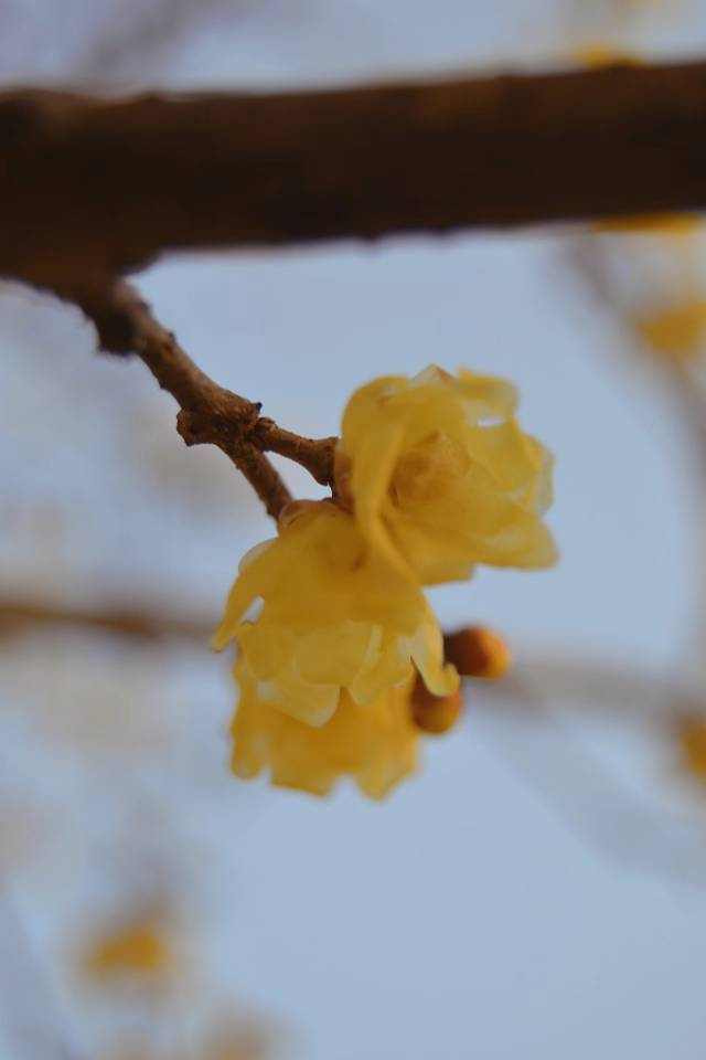 小涂
