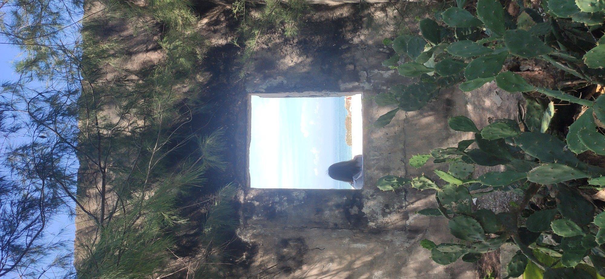 life_photo_0