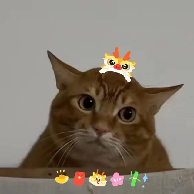 全都会